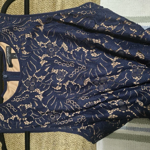 Banana Republic Midnight Blue Lace Dress - Picture 11 of 13